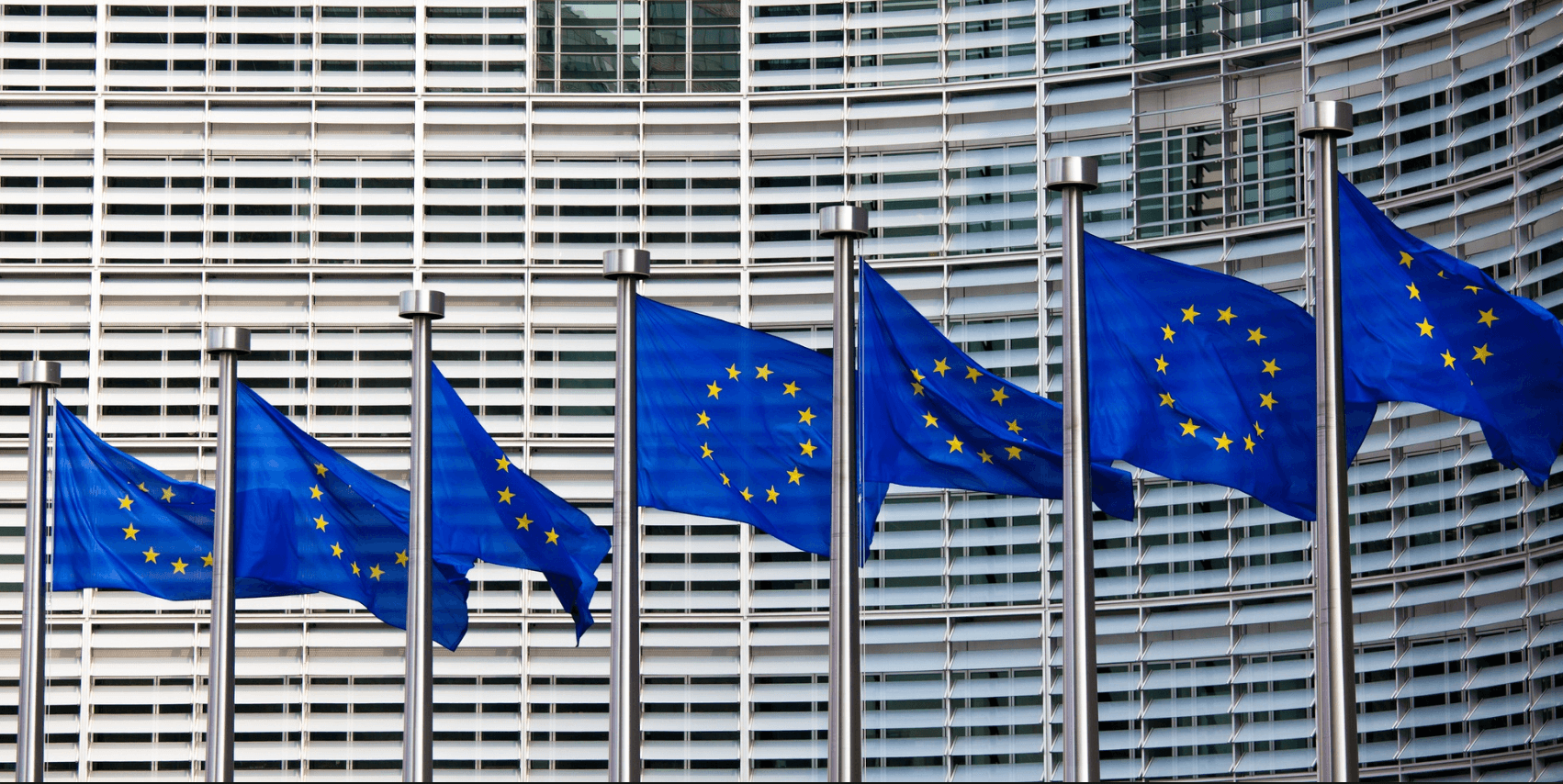 Evropska viza na meti Evropske komisije